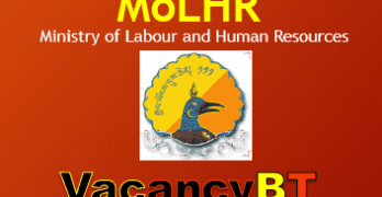 MoLHR Jobs Vacancy 2023